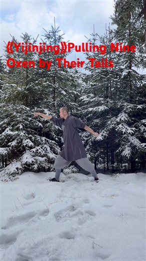 Shaolin Yi Jin Jing （4）Pulling Nine Oxen by Their Tails #kungfu #qigong #shaolinqigong #wushufight