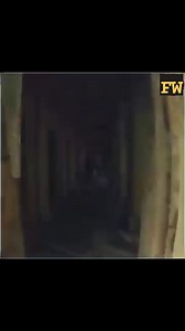 491K views · 10K reactions | #people #whattowatch #facts #fyb #theworldfacto #foruyou #tik_tok #explore #idea #man #women | Fact World | Facebook