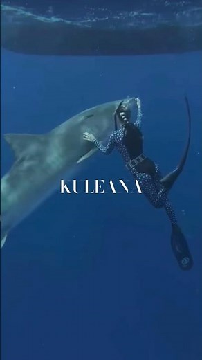 KULEANA. -with care- #care #wildlife #savesharks #savetheocean #wildanimals #1