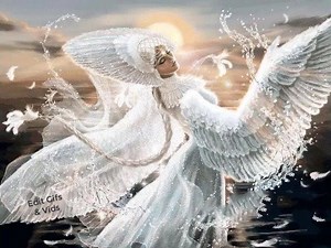 1.3K views · 46 reactions | The elegant angel (posted in Gifs Animated Images 9-16-2016) | Gifs, Vids & Music Etc | Facebook