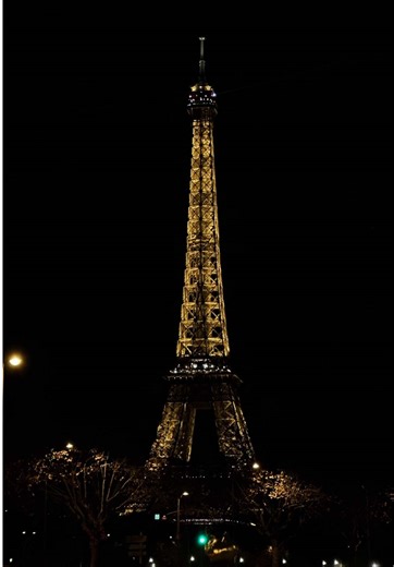 Living the Parisian Dream: A Journey Through Paris