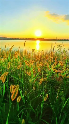 Official_heaven🇱🇷💖 (@official_heaven8)’s videos with original sound - Spotify Slow