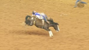 45K views · 174 shares | 87.50 points earns Richmond Champion a Round 1 in the 2020 Wrangler NFR Bareback Riding. | PRCA ProRodeo | Facebook