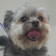 Steam Community :: Alfurius