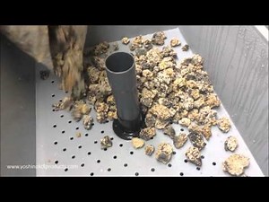 DIY Trickle Filter 2016