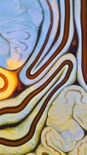 Calming Colors + Ambient Meditation = Pure Relaxation