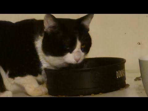 Testing out an MRE heater