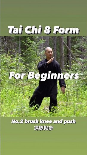 Tai Chi 8 Form for Beginners No. 2 brush knee and push #balance #taichi #kungfu #wushu #taichichuan