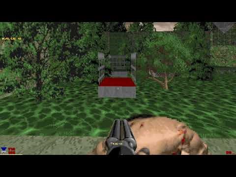 ZDaemon - Looper passed lost248 map