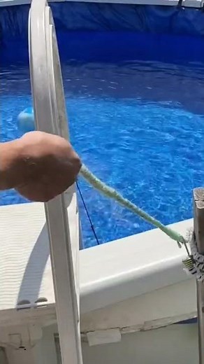 DIY Endless Pool: Pool Tether DIY
