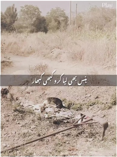 Understanding the Problem in Viral TikTok Videos