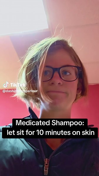 The Dashing Dog Parlour on TikTok