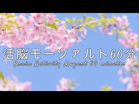 【受験生応援】活脳モーツァルト60分～Brain Activity Mozart 60 minutes