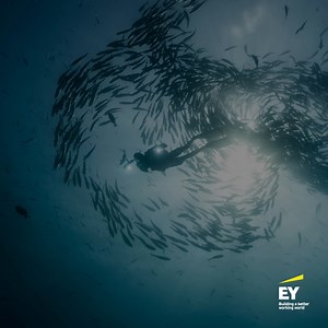 1.1K views · 37 reactions | How can boards help organizations embrace...