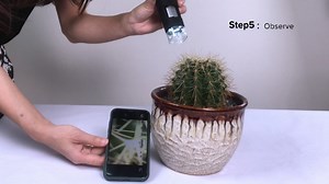 Watch Dcorn Wireless Digital Microscope for Kids Primary /Beginner on Amazon Live