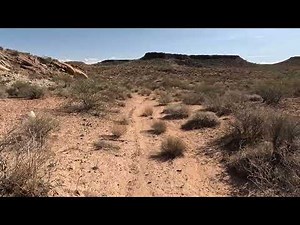 East Reef Trail Red Cliffs Conservation Area Utah