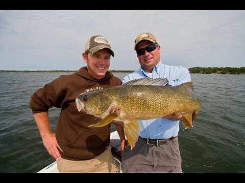 Rigging Chubs for Big Walleyes