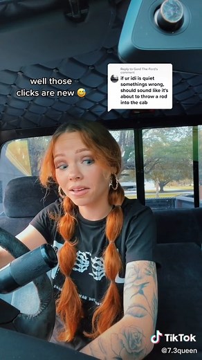 Replying to @Gord The Ford YouTube mechanics entering the chat #indirectinjection | 7.3 Queen