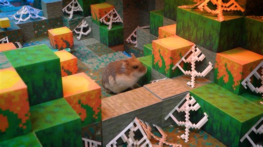 The Adventures of Homura Ham's Hamsters in the Minecraft Maze - Granny the Redstone Monstrosity! My funny pet little hamster is escaping Granny in the real world of Minecraft Dungeons, and to get out of this hamster maze, he will have to overcome many interactive obstacles and traps! #Minecraft #MinecraftDungeons #Granny #Hamster #Hamsters #HomuraHam #HomuraHamPets #Pets #Pet #HamsterMaze #HamsterCourse #Animals Music: Epidemicsound.com | Homura Ham