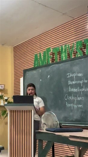 Recording Students' Quiz Scores with a Fun Twist