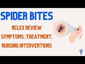 SPIDER BITES NCLEX REVIEW