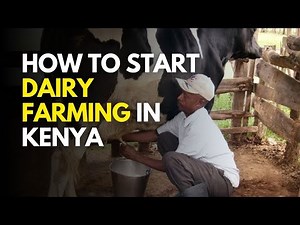 How to start Dairy farming in Kenya