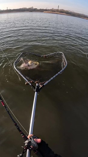 Monster Pike Fishing Techniques for Enthusiasts