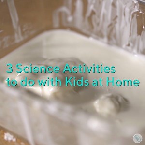 18K views · 84 reactions | These science activities can be done with items you probably have at home  | education.com | Facebook