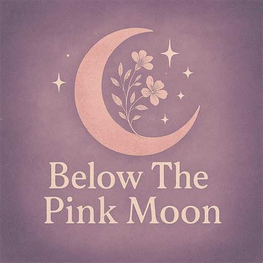 Dear Moon: Introduction