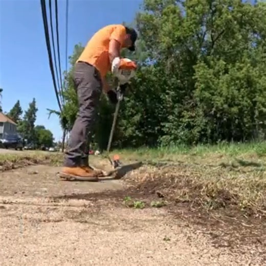 Power lines COVERED in overgrowth causes WORRY in neighborhood | M&D Lawn Care 01