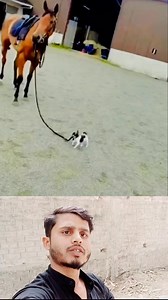 1.4K reactions · 12 shares | Jab jamir gulami ka adi hojaye to taqat koi kam nhi aaata 郎❌️❌️ #fbyシvideofbyシvideo #fbyシvideo #reelsfbシ #facebookviral #indiantailnet #Gulami #mohsinreact Mustari Begum | Mohsin React | Facebook