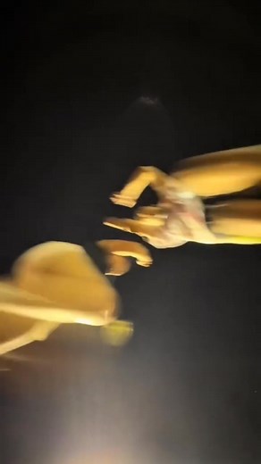 ❤️ | Ms.Beautiful