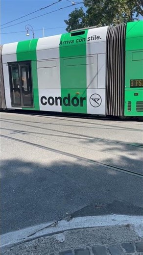 Tram and bus near the pyramid in Rome #tramspotting #bus