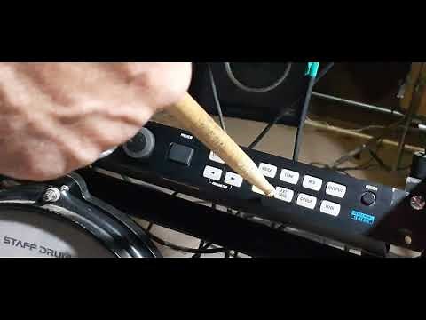 Alessis DM 5 identify the pads and initial panel functions.