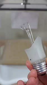 Broken light bulbs in liquid nitrogen still work! #experiment #science #chemistry #nitrogen #physics #reels | The Action Lab