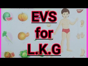 EVS for L.K.G | EVS activities for LKG