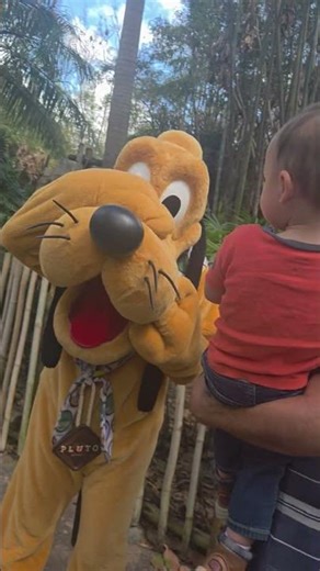 Toddler not interested in meeting Pluto at Disney