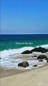 Gentle Island Sounds to Soothe Your Heart 🌺 Vol.1｜Hawaiian Music｜Work & Relaxation