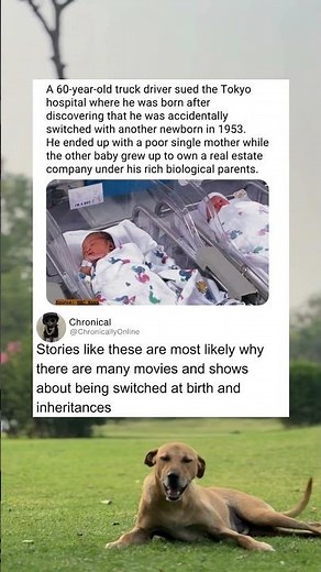 The classic Switched at Birth story