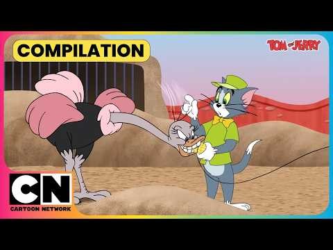 Tom's Zoo Has A Jerry Problem!😹🦁| Tom and Jerry😺| National Wildlife Day | ‪@cnindia‬​
