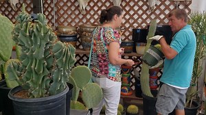 32 reactions · 5 comments | Creation Cacti is located on the North...