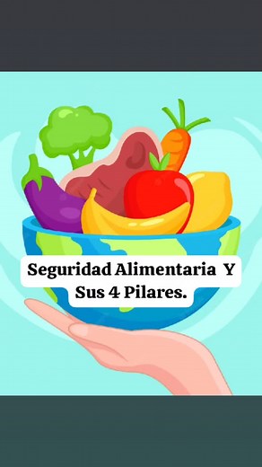 Seguridad Alimentaria: Conoce Sus 4 Pilares Esenciales