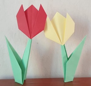 Origami fleur : tulipe avec sa tige, pliage facile