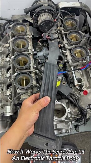 How It Works The Secret Life Of An Electronic Throttle Body 🚗 #shorts #mechanic #automotive