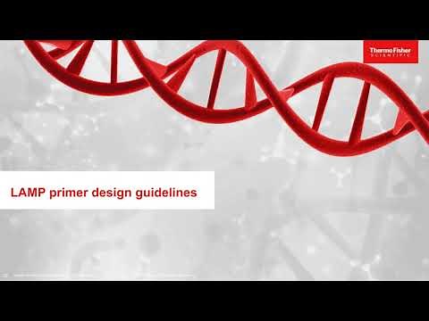 RT-LAMP: Best practices and tips to accelerate detection of viral pathogens, including SARS-CoV-2