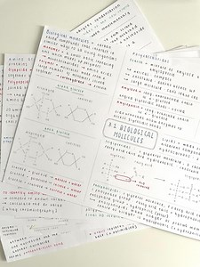 A-level AQA Biology Digital Study Notes - Etsy UK