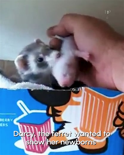 "Look what I made!" 😁💕 | The Pet Collective