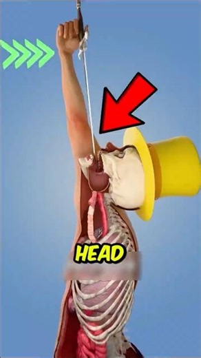 The Truth About Sword Swallowing… It’s NOT an Illusion 😳