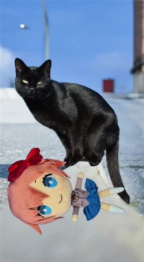 The Cat and The Sayori Plush #ddlc #dokidokiliteratureclub #anime