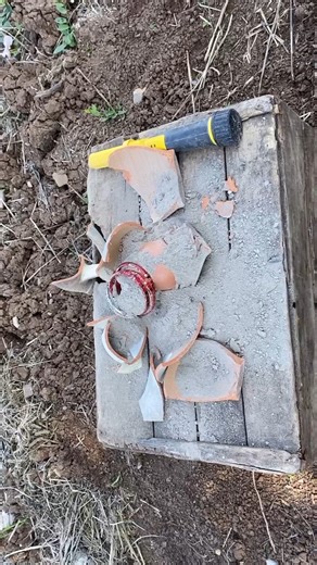 Real Treasure Hunt | Treasure Hunter